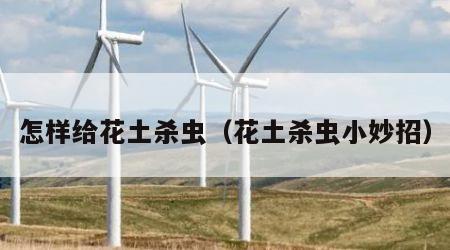 怎样给花土杀虫（花土杀虫小妙招）