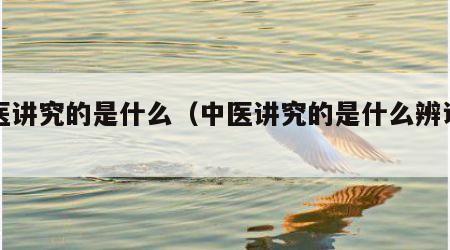 中医讲究的是什么（中医讲究的是什么辨证方法）