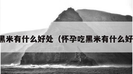 吃黑米有什么好处（怀孕吃黑米有什么好处）