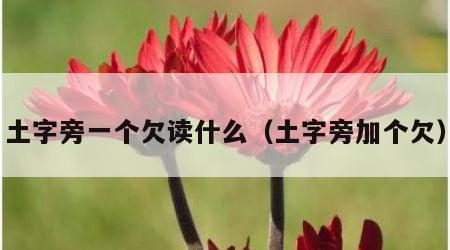 土字旁一个欠读什么（土字旁加个欠）