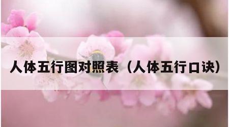 人体五行图对照表（人体五行口诀）
