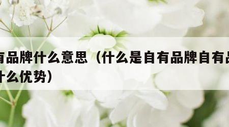 自有品牌什么意思（什么是自有品牌自有品牌有什么优势）