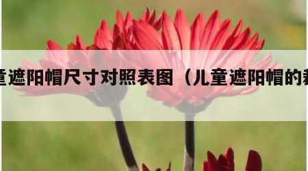 儿童遮阳帽尺寸对照表图（儿童遮阳帽的裁剪图）