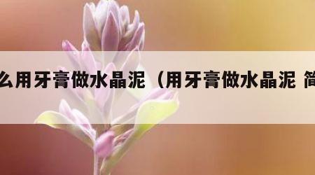 怎么用牙膏做水晶泥（用牙膏做水晶泥 简单）
