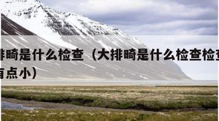 大排畸是什么检查（大排畸是什么检查检查说头有点小）