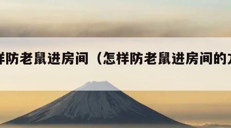 怎样防老鼠进房间（怎样防老鼠进房间的方法）