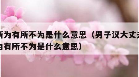 有所为有所不为是什么意思（男子汉大丈夫有所为有所不为是什么意思）