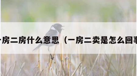 一房二房什么意思（一房二卖是怎么回事）