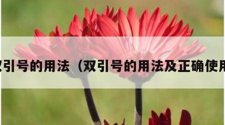 双引号的用法（双引号的用法及正确使用）