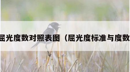 屈光度数对照表图（屈光度标准与度数）