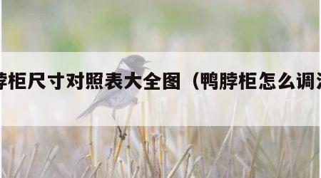 鸭脖柜尺寸对照表大全图（鸭脖柜怎么调温度）