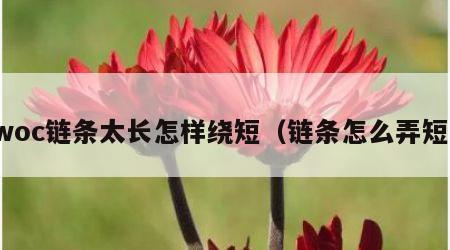 woc链条太长怎样绕短（链条怎么弄短）