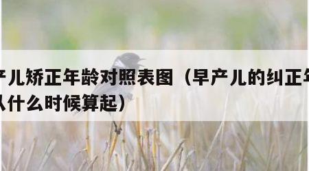 早产儿矫正年龄对照表图（早产儿的纠正年龄是从什么时候算起）