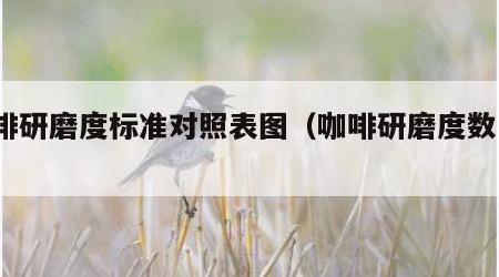 咖啡研磨度标准对照表图（咖啡研磨度数1到5）