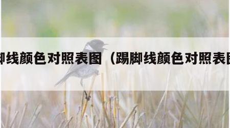 踢脚线颜色对照表图（踢脚线颜色对照表图片）