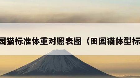 田园猫标准体重对照表图（田园猫体型标准）