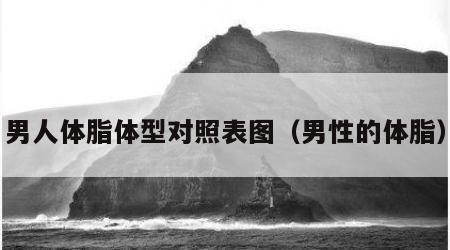 男人体脂体型对照表图（男性的体脂）