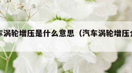 汽车涡轮增压是什么意思（汽车涡轮增压介绍）