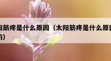 太阳筋疼是什么原因（太阳筋疼是什么原因造成的）