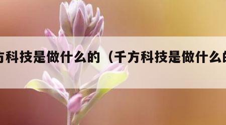 千方科技是做什么的（千方科技是做什么的公司）