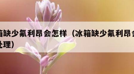 冰箱缺少氟利昂会怎样（冰箱缺少氟利昂会怎样处理）