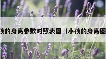 小孩的身高参数对照表图（小孩的身高图片）