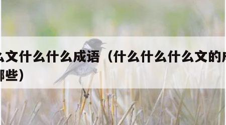 什么文什么什么成语（什么什么什么文的成语有哪些）