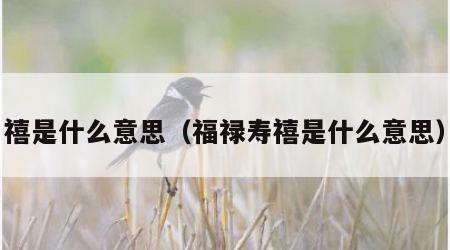 禧是什么意思（福禄寿禧是什么意思）