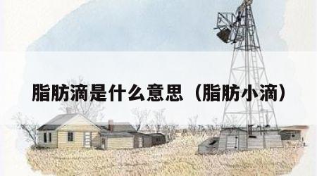 脂肪滴是什么意思（脂肪小滴）