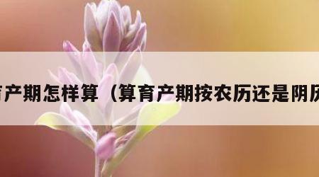 育产期怎样算（算育产期按农历还是阴历）