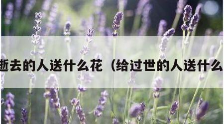 给逝去的人送什么花（给过世的人送什么花）