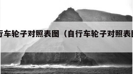 自行车轮子对照表图（自行车轮子对照表图片）