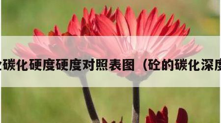 砼碳化硬度硬度对照表图（砼的碳化深度）