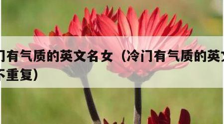 冷门有气质的英文名女（冷门有气质的英文名女不重复）