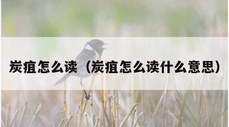 炭疽怎么读（炭疽怎么读什么意思）