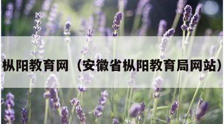 枞阳教育网（安徽省枞阳教育局网站）
