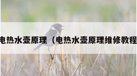 电热水壶原理（电热水壶原理维修教程）