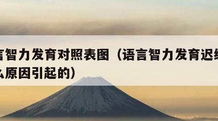 语言智力发育对照表图（语言智力发育迟缓是什么原因引起的）