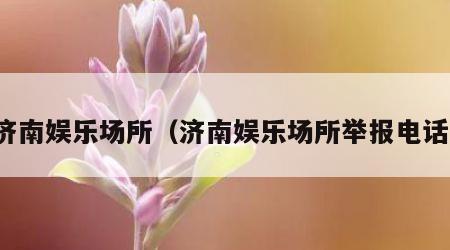济南娱乐场所（济南娱乐场所举报电话）