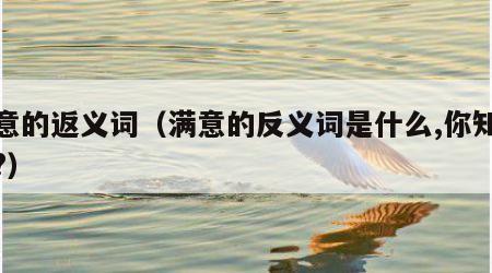 满意的返义词（满意的反义词是什么,你知道吗?）