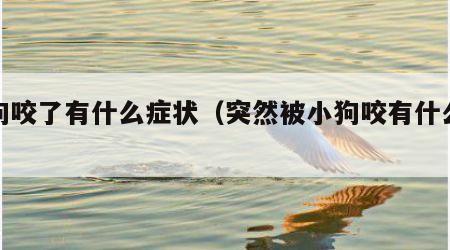 被狗咬了有什么症状（突然被小狗咬有什么征兆）
