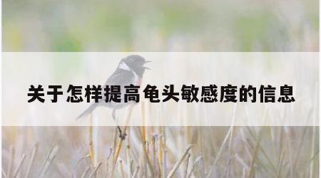关于怎样提高龟头敏感度的信息