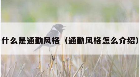 什么是通勤风格（通勤风格怎么介绍）