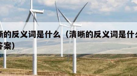 清晰的反义词是什么（清晰的反义词是什么正确答案）