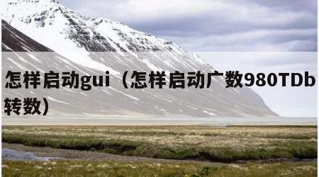 怎样启动gui（怎样启动广数980TDb转数）