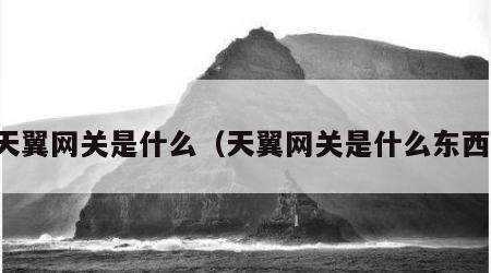 天翼网关是什么（天翼网关是什么东西）