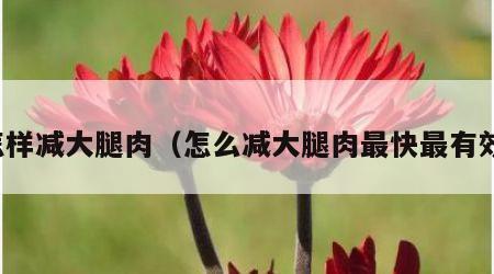 怎样减大腿肉（怎么减大腿肉最快最有效）