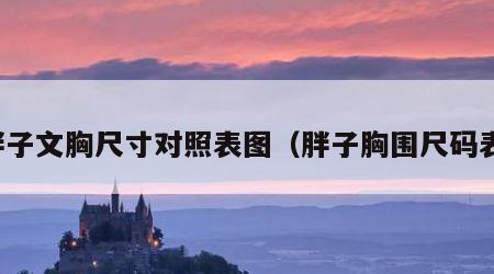 胖子文胸尺寸对照表图（胖子胸围尺码表）