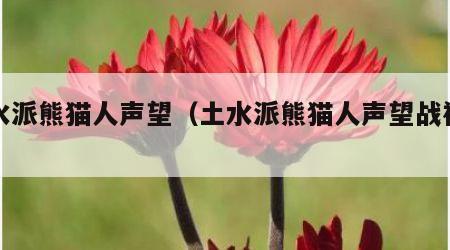 土水派熊猫人声望（土水派熊猫人声望战袍位置）