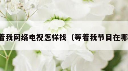 等着我网络电视怎样找（等着我节目在哪看）